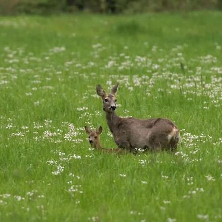 Het Appense Veld Apartment Klarenbeek Luaran gambar